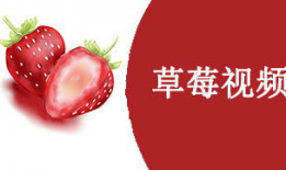 草莓视频免费观看,解锁精彩瞬间